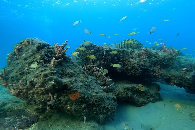 Beach Snorkeling Adventure in Lauderdale by the Sea - Tour Overview