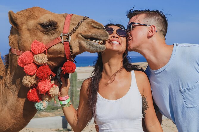 Beach UTV & Camel Ride COMBO in Cabo by Cactus Tours Park