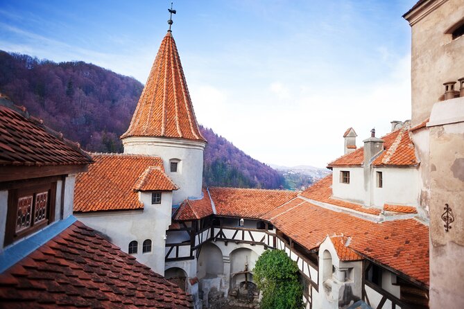 Bears Sanctuary, Dracula Castle and Poiana Brasov-Private Day Tour From Brasov