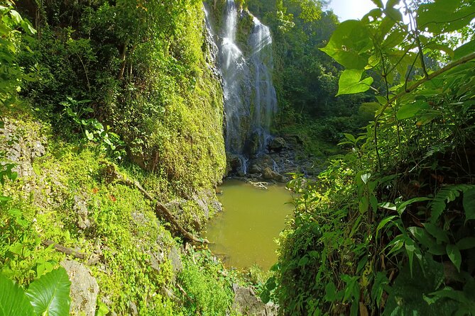 Beautiful Forest Hike to a Gorgeous Waterfall - Activity Overview