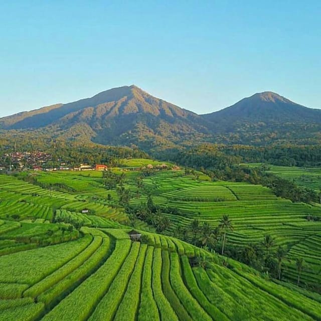 Beauty the Nature North of Bali Tour