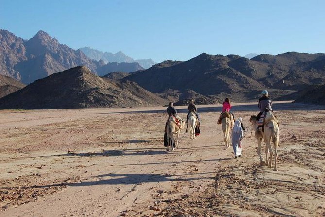Bedouin BBQ in the Egyptian Desert by 4x4 - Tour Highlights