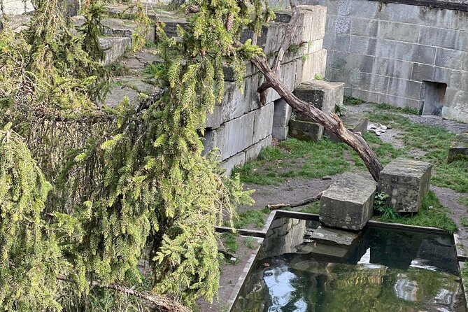 Bern Unesco World Heritage Site Walking Tour