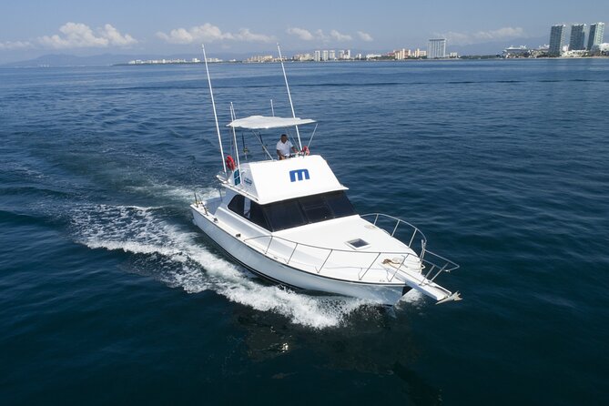 Bertram 38 Convertible Boat in Puerto & Nuevo Vallarta