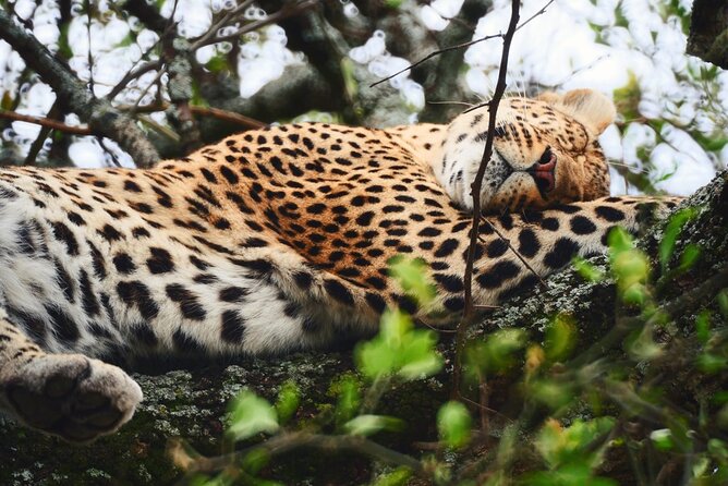 Best 3 Days Sharing Safari : Serengeti & Ngorongoro /2025