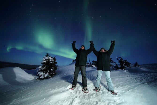 Best Northern Lights Aurora Adventure FREE Portraits & Hot Pizza