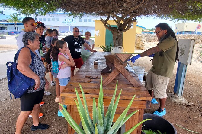 Best of Aruba Private Tours