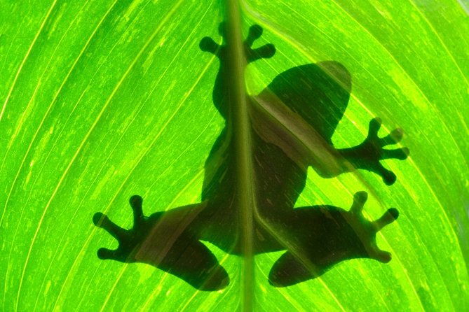Best of Costa Rica 12D/11N Vacation Package