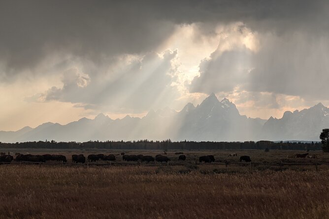 Best of Jackson Hole and The Grand Tetons Private Tour (Summer and Winter)