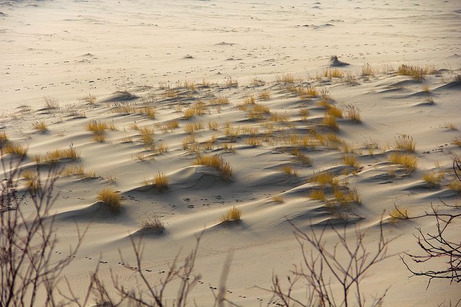 Best of Klaipeda & Curonian Spit Join-in Shore Excursion