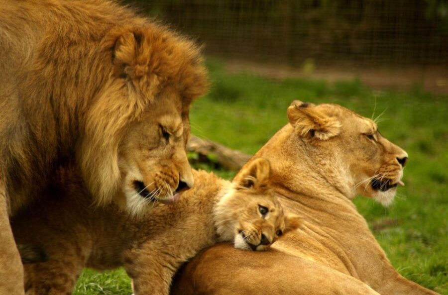 Best of South Africa Tour 10 Days Johannesburg to Cape Town