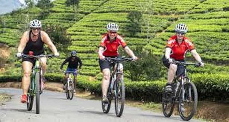 Bicycle Adventure-Liptons Seat & Dambetenna Tea Factory Tour
