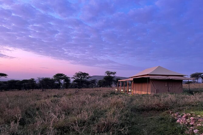 Big Five Dream Safari