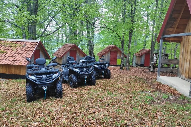 Biogradska Gora National Park Private ATV Adventure - Podgorica