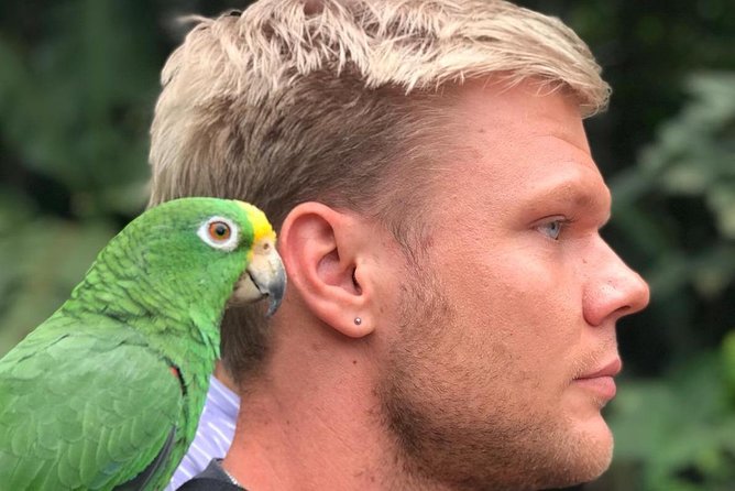 Bird Watching Tour Departing From Bogota. (2 Days)