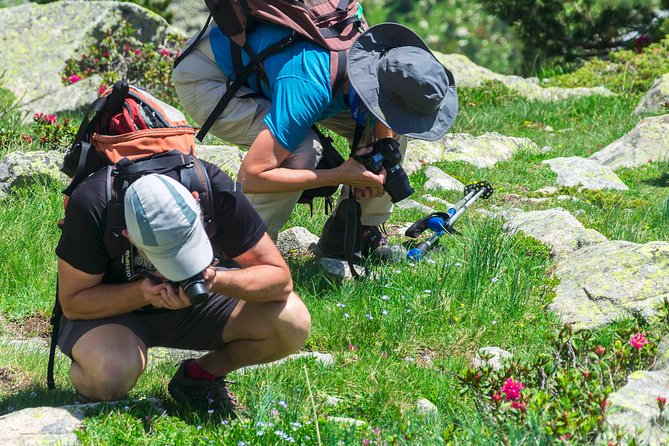 Birding Through the Ebro Valley