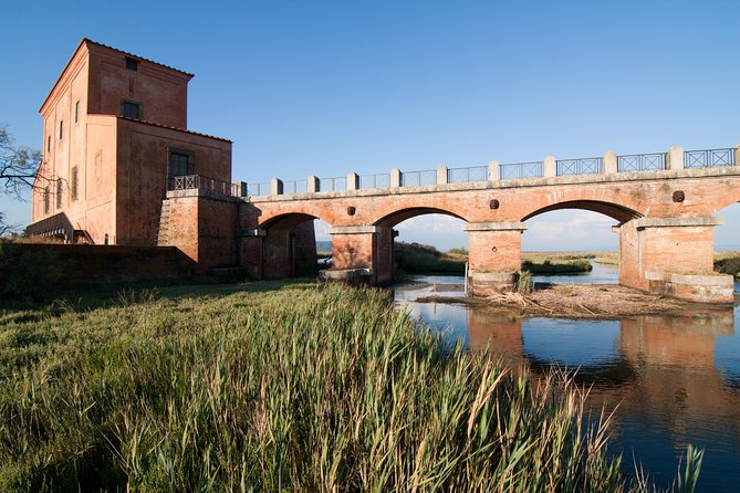 Birdwatching and Photo Tour in Diaccia Botrona