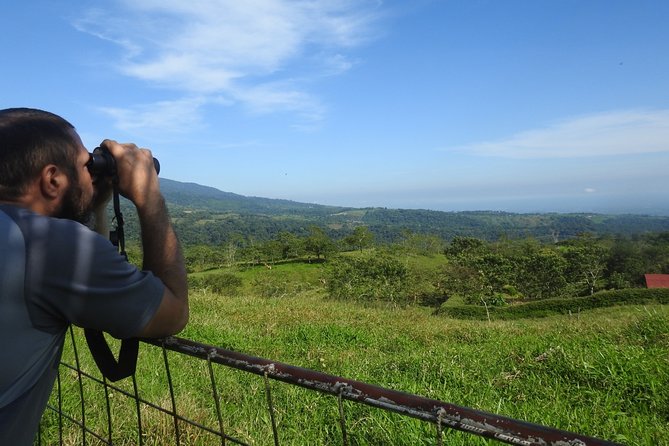 Birdwatching