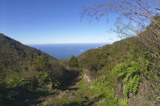 Black Caves, Jungles, Waterfalls – Visit the Secret Tenerife !