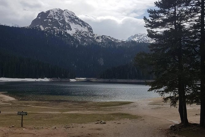 Black Lake and Djurdjevica Tara Bridge (Private Tour)