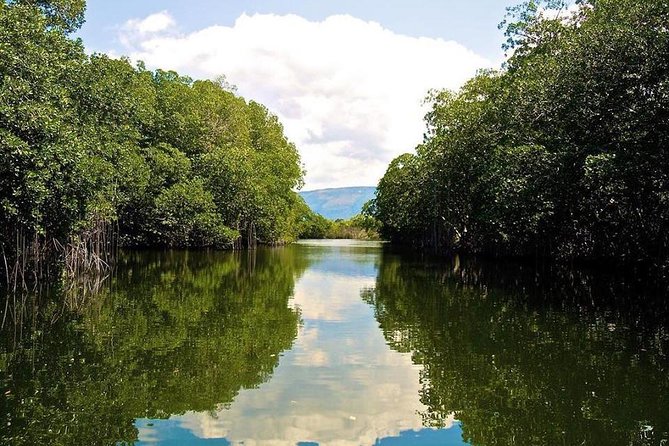 Black River Safari Tour From Kingston - Tour Schedule