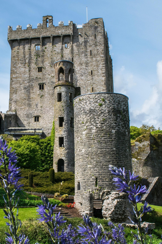 Blarney Castle: Private Guided Day Tour From Dublin