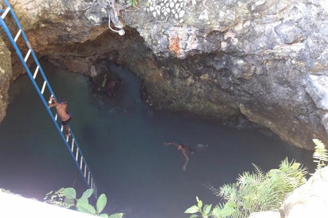 Blue Hole Mineral Spring and Herb Farm Private Tour - Tour Overview
