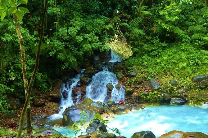 Blue River Hot Springs Adventure in Rincon De La Vieja From Dreams Las Mareas