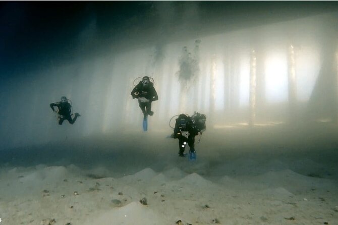 Boat Dive 2 Guided Dives With Lunch Included Wreck Dive&Reef Dive