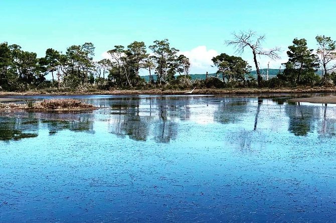 3 Best National Park Tours In Tirana