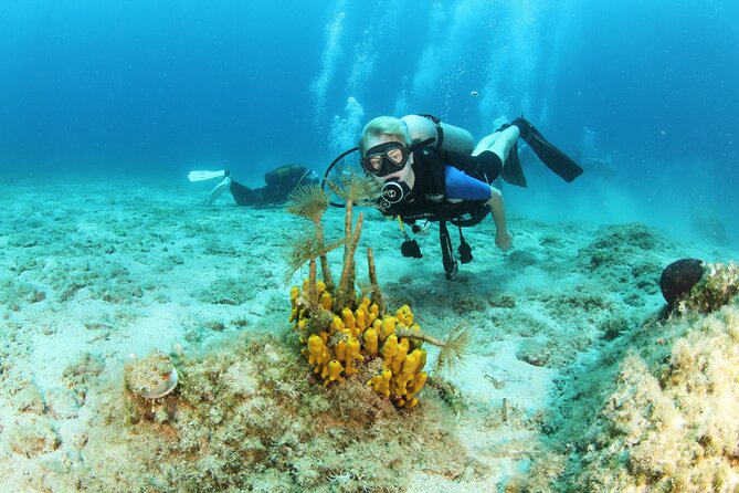 Boat Trip With Guided Snorkeling and Scuba Diving in Chania
