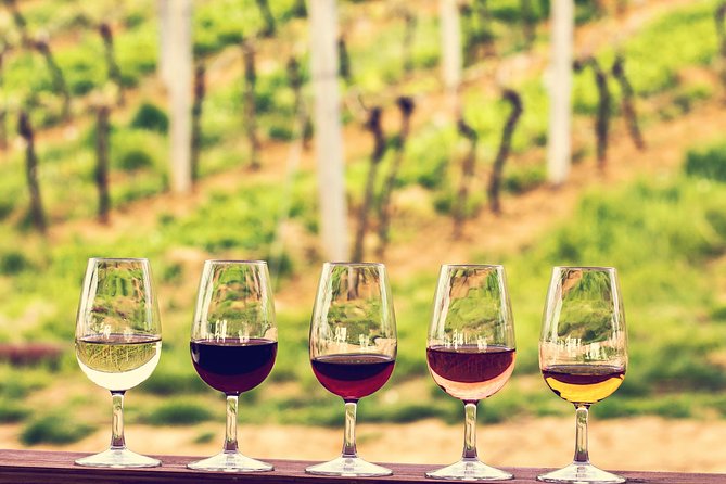 Bordeaux Shore Excursion: Private Bordeaux and St-Emilion Tour