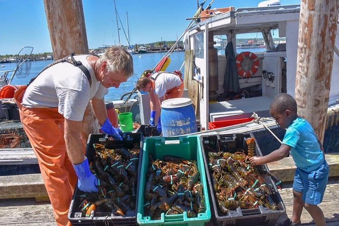 Boston to Kennebunkport With Optional Lobster Tour