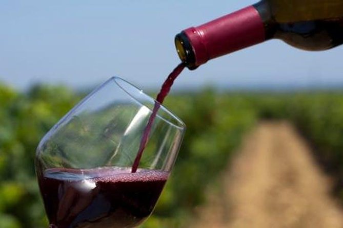 Brandywine Valley Tour With Private Driver
