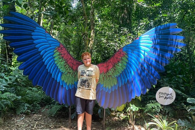 Brazilian Falls & Bird Park: Private Transportation