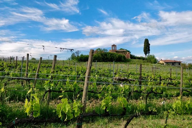 Brusca Wine Tour .f