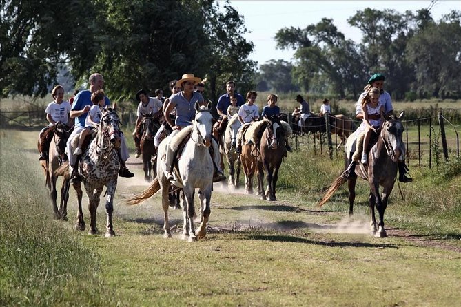 Buenos Aires Super Saver: City Tour, Gaucho Day at a Farm & Tango Dinner-Show - Taking in the Gaucho Lifestyle
