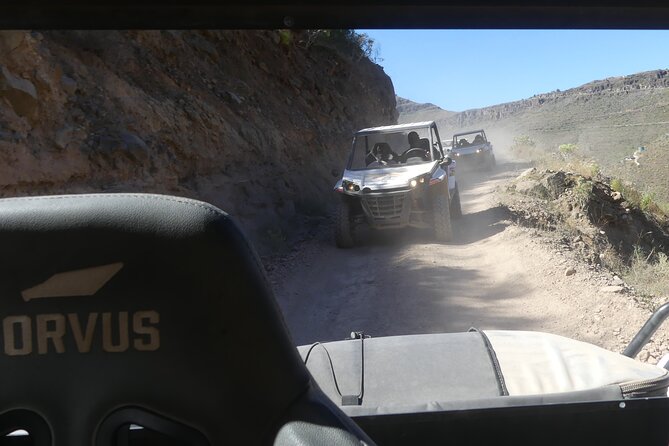 Buggy Tour of 2 Hours in the Afternoon With Transfers Only South Zone - Overview of the Activity
