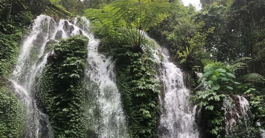 Buleleng Hidden Gems: Waterfall Tour