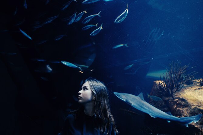 Burj Khalifa and Dubai Aquarium Combo Entrance Ticket