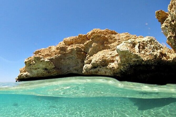 Bus Tour to Ras Mohamed From Sharm El Sheikh