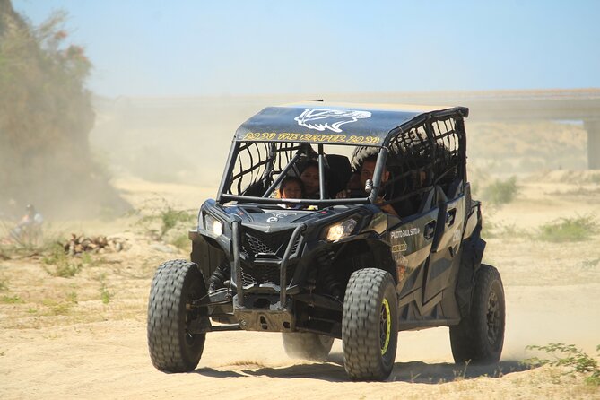 Cabo Migrino Beach & Desert Tour (Quad UTV) - Tour Overview and Experience