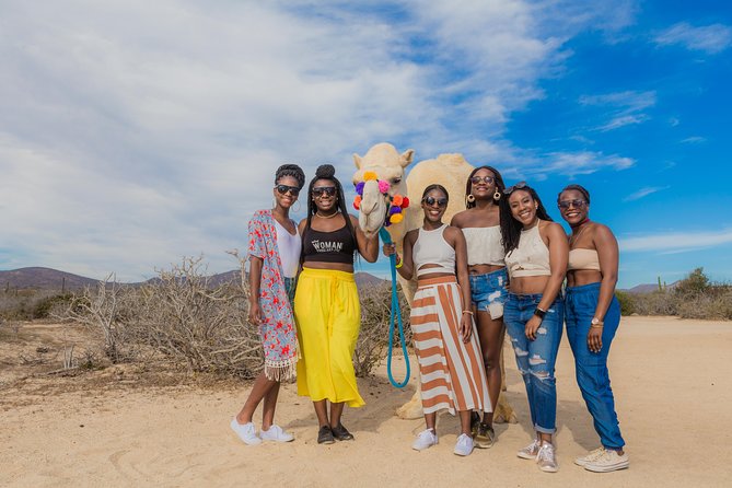 Cabo San Lucas Camel Ride With Mexican Buffet and Tequila Tasting