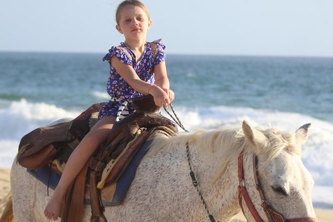 Cabo White Sand Horseback Riding Tour and Tequila Tasting