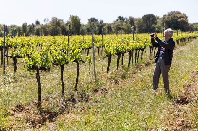Cadaquès & Wine Tasting Day Trip - Overview of the Trip