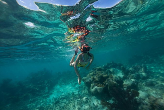 Cades Reef Sail & Snorkel Antigua From St.Johns - Sailing and Snorkeling