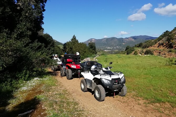 Cagliari: Quad Excursion Through Woods and Hills From Iglesias
