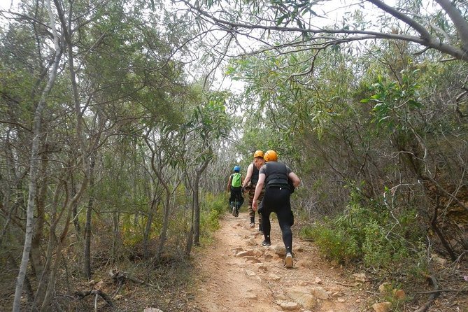 Cagliari Shore Excursion: Professional Guided Coasteering