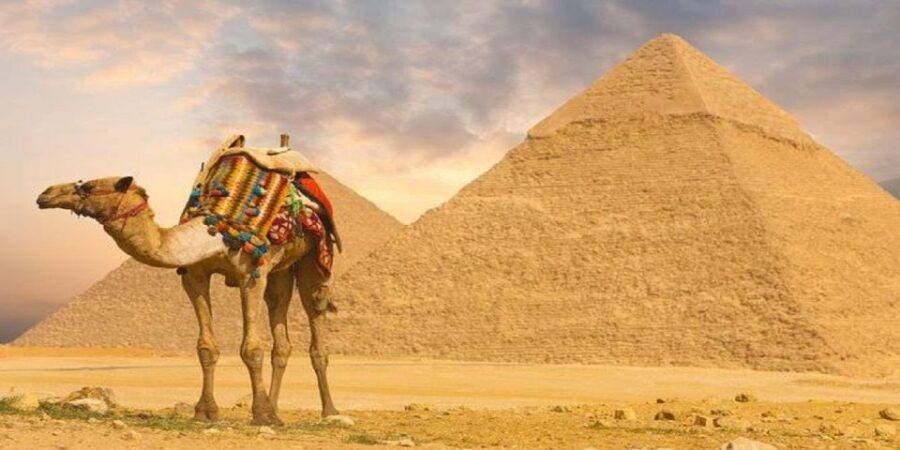 Cairo: Giza Pyramids Tour With Camel Ride and Tickets
