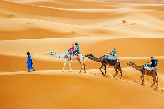Camel & Quad Combo In Douz Sahara Desert